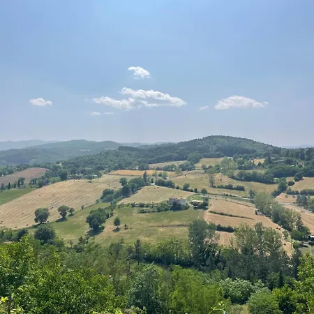Il Nido Di